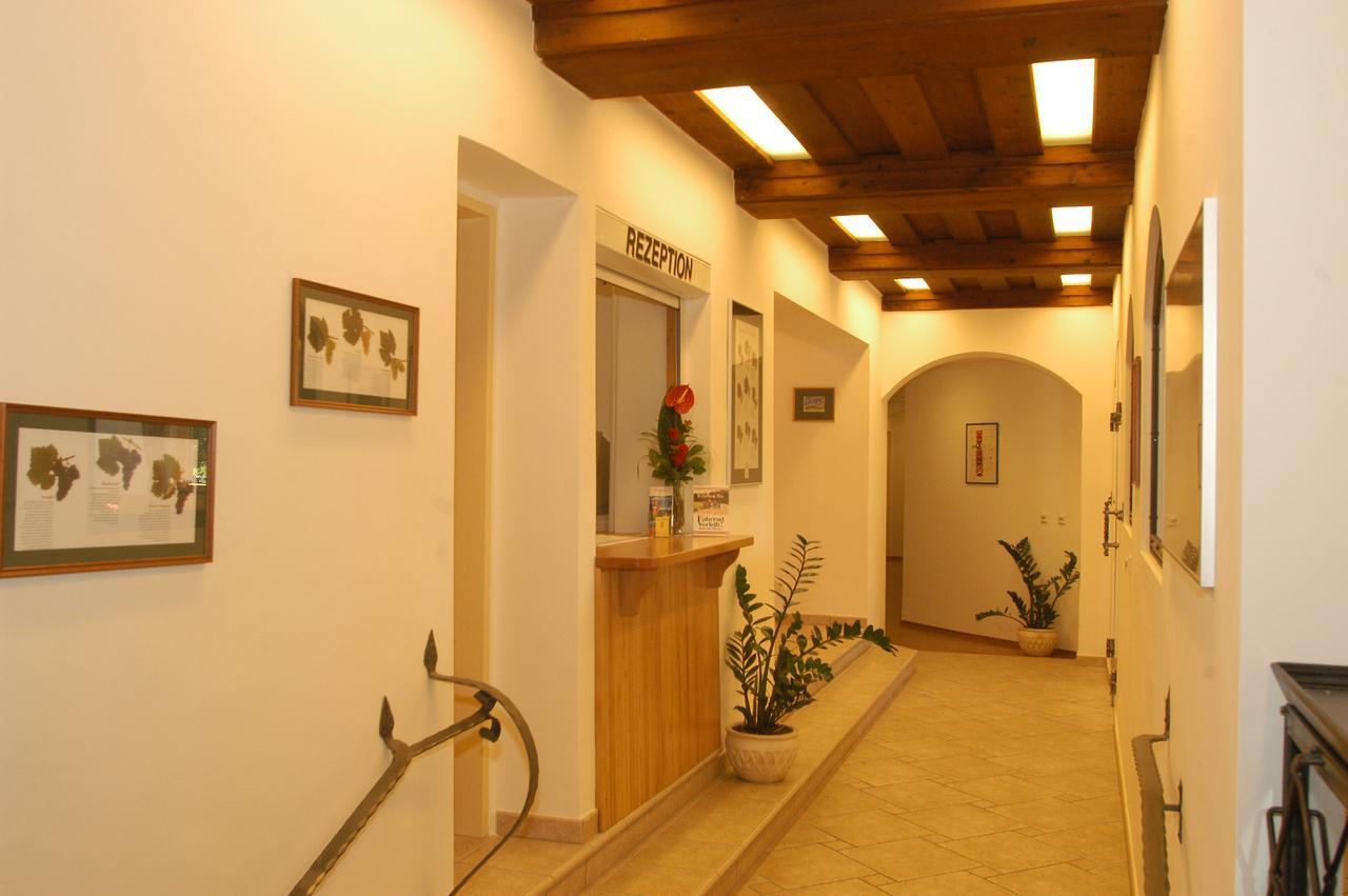 Weingut-Pension Stockingerhof Duernstein Ngoại thất bức ảnh